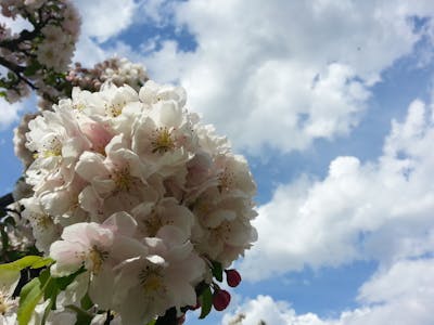 情人节的情话 情人节的情话对女朋友