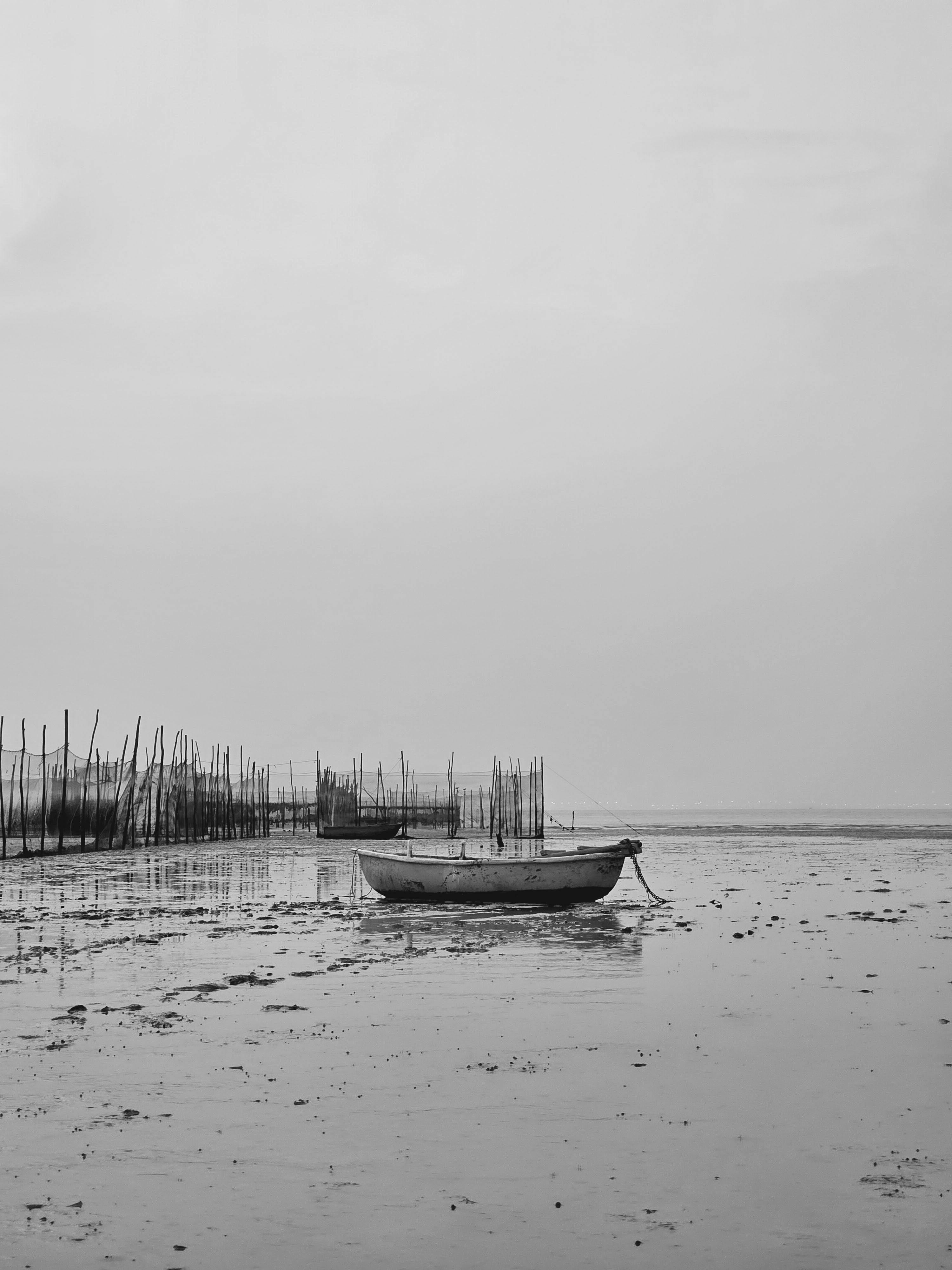 Birdeye Boat Photos Download The BEST Free Birdeye Boat Stock Photos Birdeye Boat Photos Download The BEST Free Birdeye Boat Stock Photos