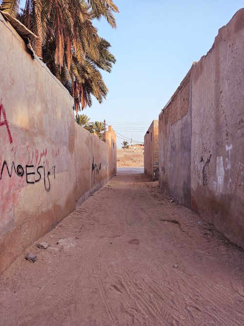 Free A narrow sandy alley with graffiti walls and palm trees in Qeshm, Iran during daytime. Stock Photo