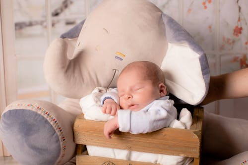 Free Baby In Wooden Box Together With Elephant Plush Toy Stock Photo