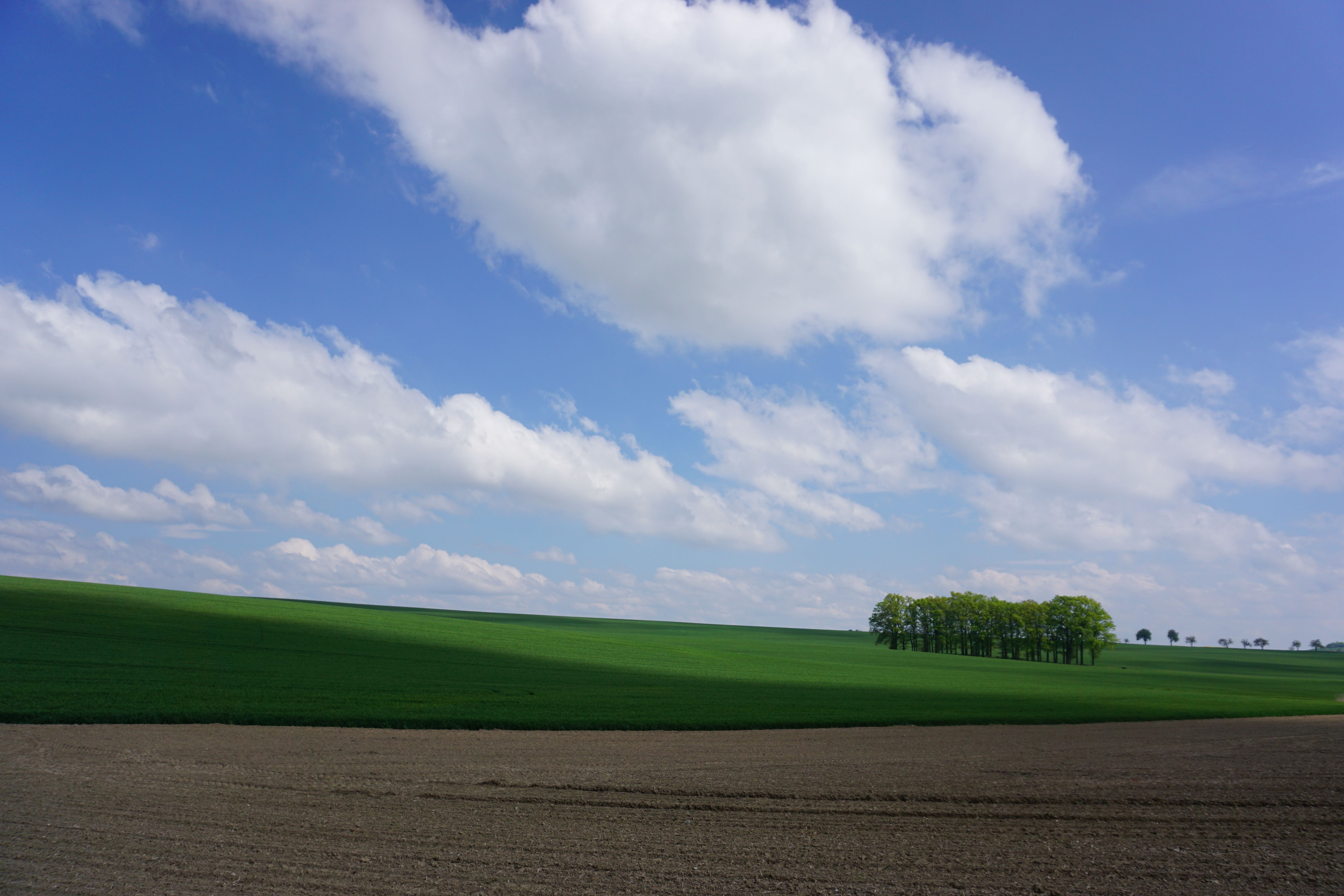A field with a blue sky and clouds · Free Stock Photo