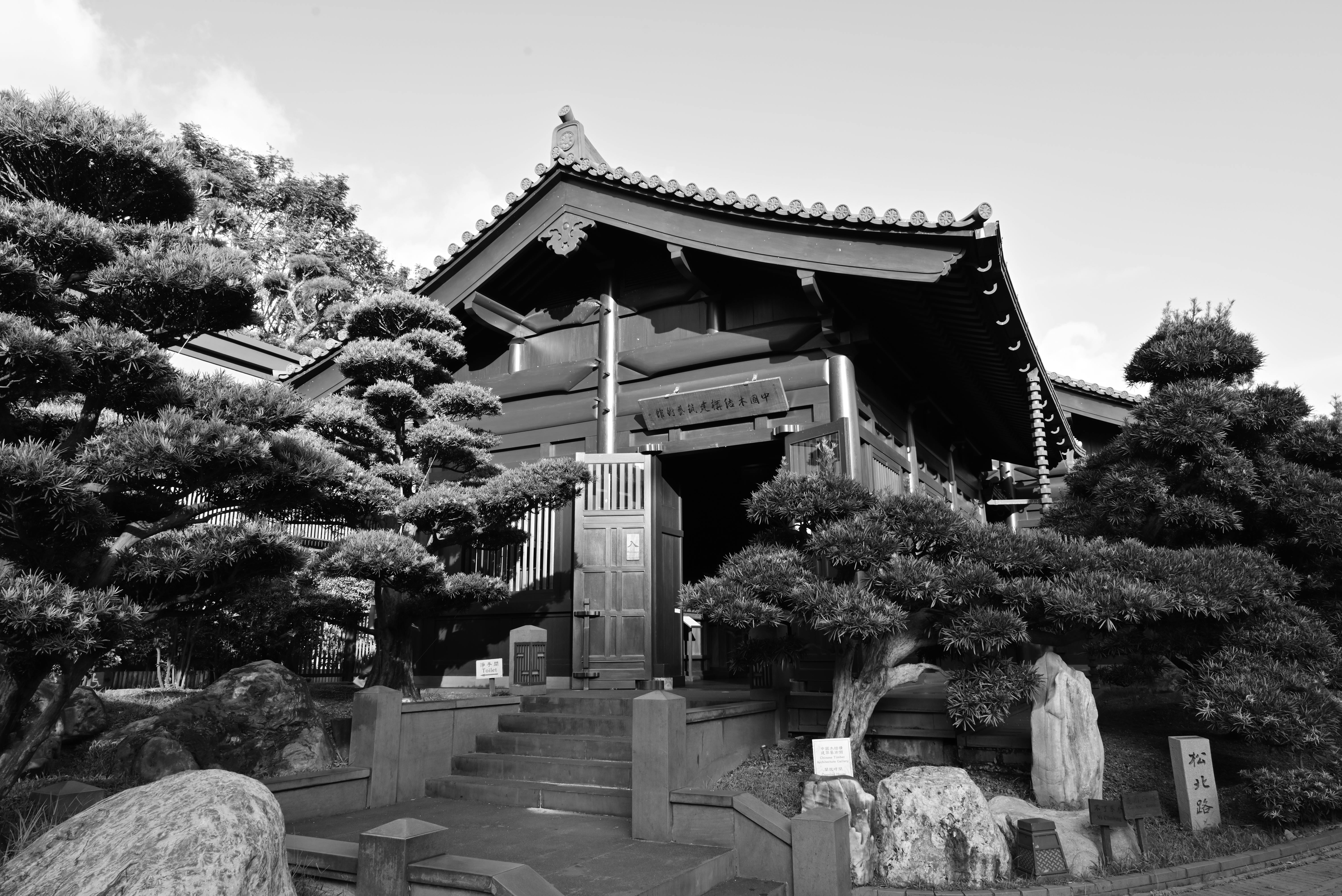 A serene Japanese temple surrounded by trees in a beautiful black and white shot.