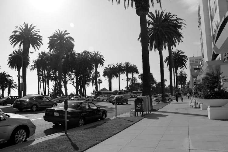 Vehicles On Road Near Buildings