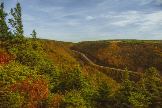 Vibrant fall foliage along a winding road in Cape Breton, Nova Scotia, Canada.