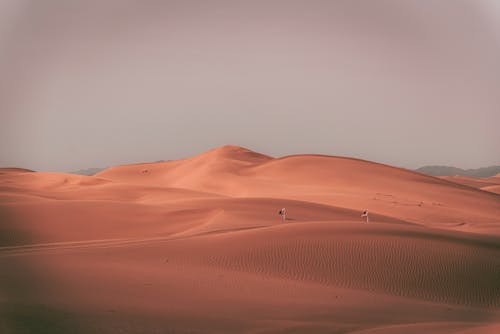 Foto d'estoc gratuïta de àrid, desert, groc