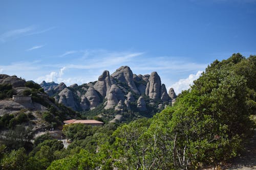 Immagine gratuita di alberi, barcellona, catalogna