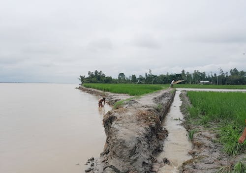 คลังภาพถ่ายฟรี ของ พัก, แม่น้ำ, แม่น้ำแตก