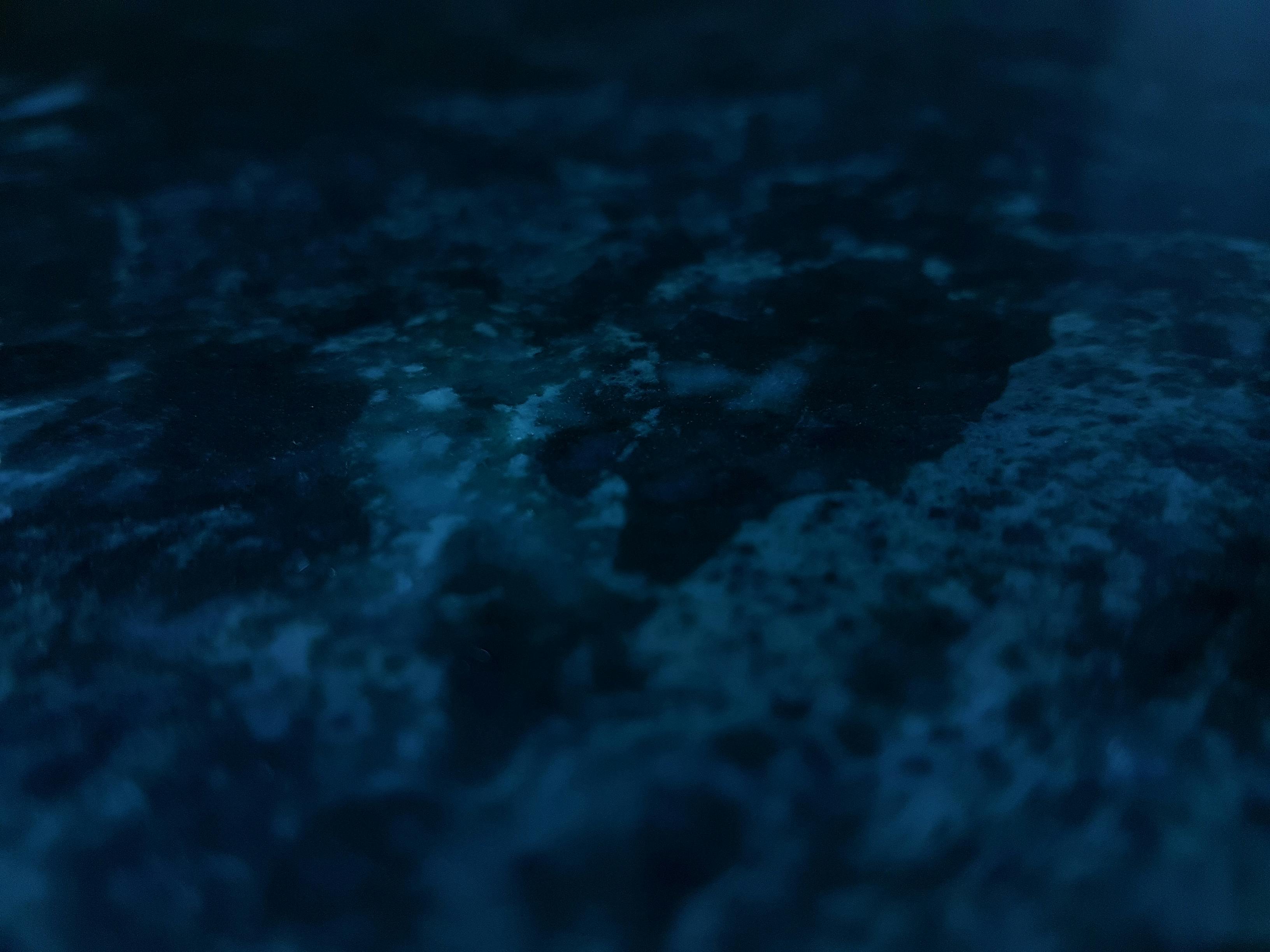 Free stock photo of backlight, black and white, dark - 500 x 375 jpeg 12kB