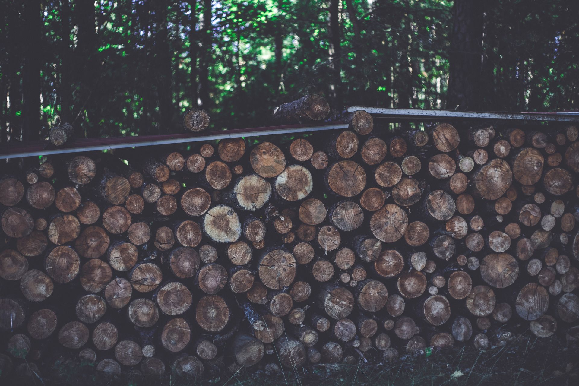 Free stock photo of background, bark, biomass