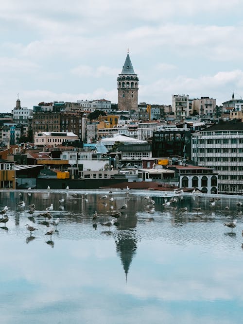 City with Galata Tower