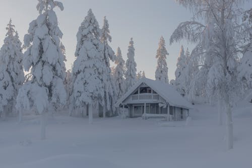 Darmowe zdjęcie z galerii z aavasaksa, finlandia, kabina