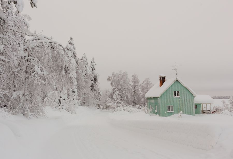 Lapland's Arctic winter