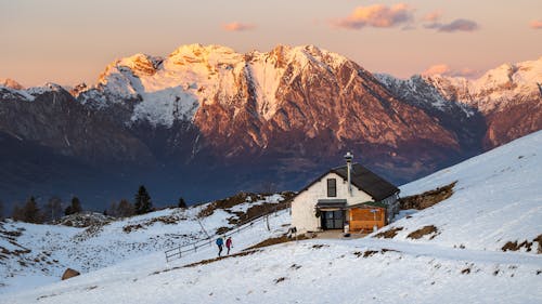 Fotobanka s bezplatnými fotkami na tému Alpy, broskyňa, broskyňový