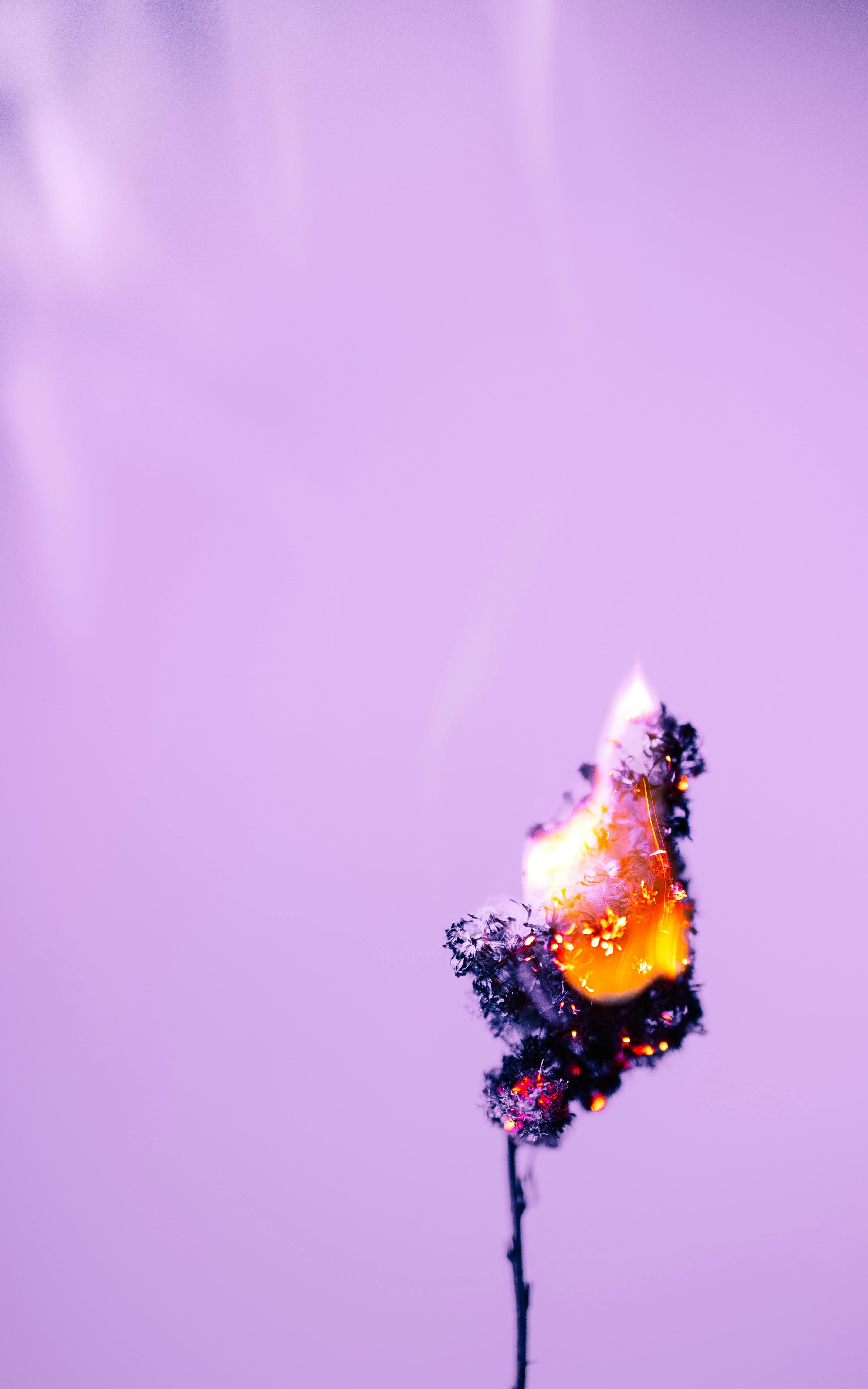 Gratuit Imagine de stoc gratuită din abstract, afaceri, al doilea Fotografie de stoc