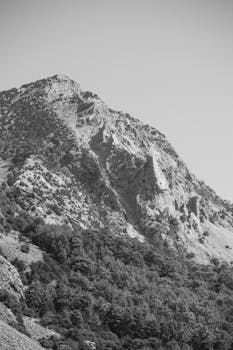Black and white photo showcasing a rugged mountain with trees.
