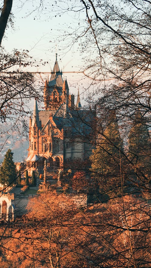 Photos gratuites de allemagne, automne, château de drachenburg