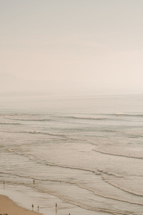 垂直拍攝, 岸邊, 海濱 的 免費圖庫相片