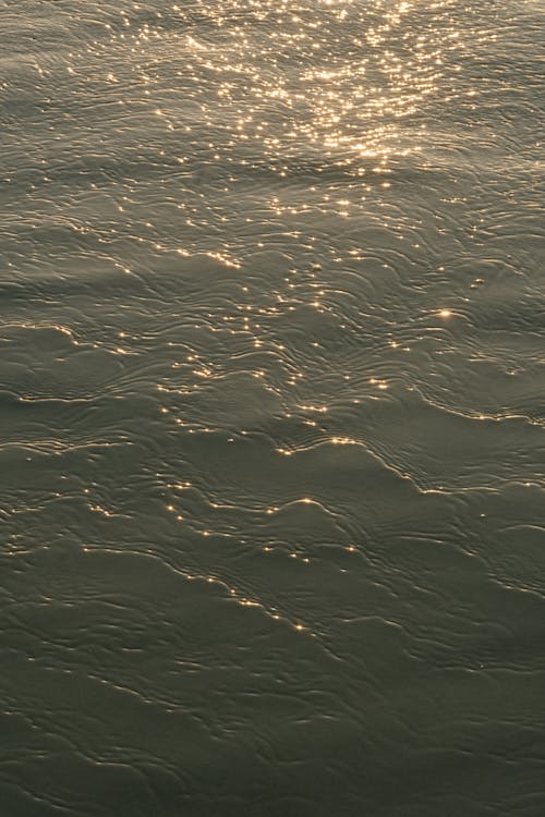 Foto profissional grátis de água, mar, movimento
