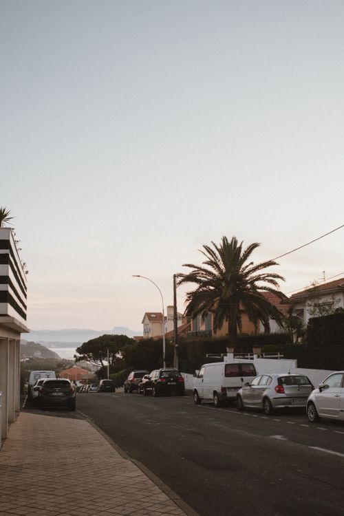 Free Peaceful tropical street with palm trees and cars, capturing a serene urban environment. Stock Photo