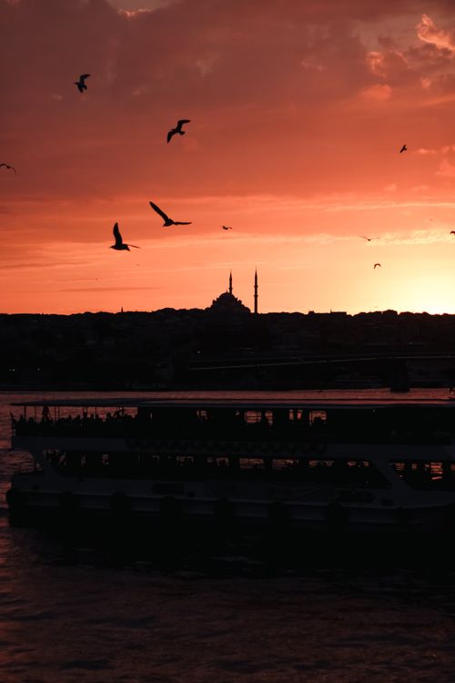 Free Ferry crosses Istanbul waters at stunning sunset, birds silhouetted against vibrant red sky. Stock Photo