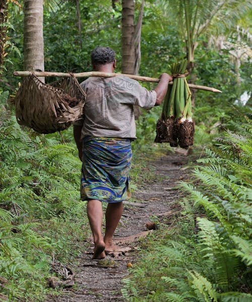 Farmer Carrying Bag and Vegetables on Rod