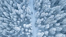 这张航拍照片令人惊叹，捕捉了一辆汽车在白雪覆盖的道路上行驶，四周环绕着霜冻的树木