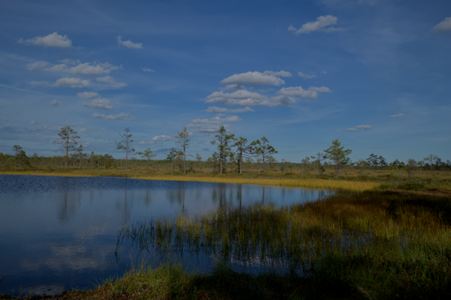 Free A tranquil summer lake scene with trees and clouds reflecting in the water, perfect for travel inspiration. Stock Photo