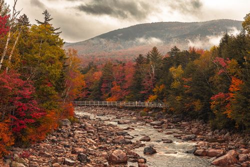 Free A picturesque view of a river flowing through a vibrant autumn forest, showcasing colorful leaves and serene nature. Stock Photo