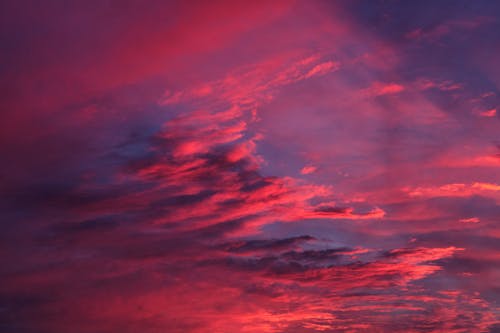 Gratis arkivbilde med lav-vinklet bilde, natur, rød himmel