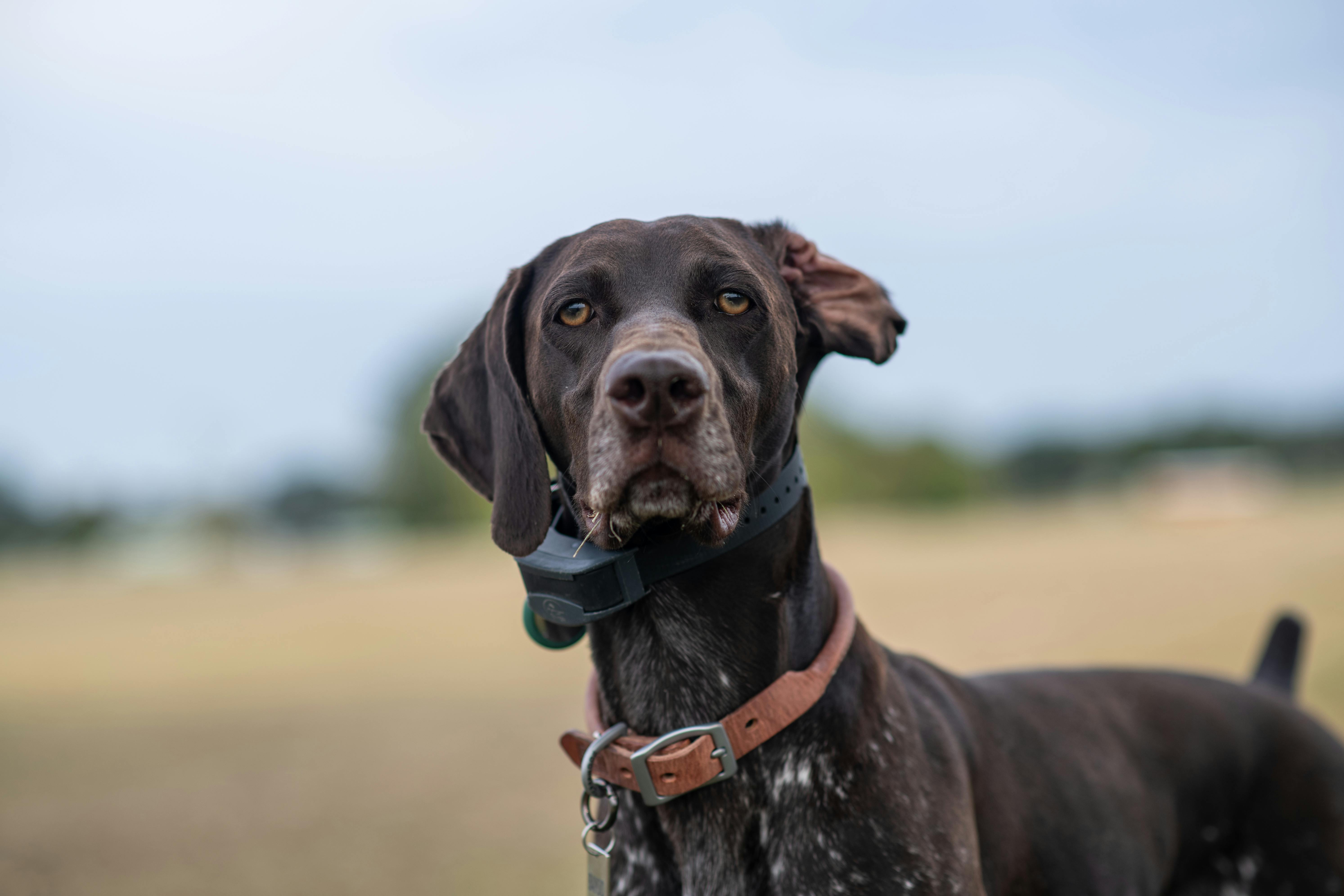 Gsp Photos, Download The BEST Free Gsp Stock Photos & HD Images