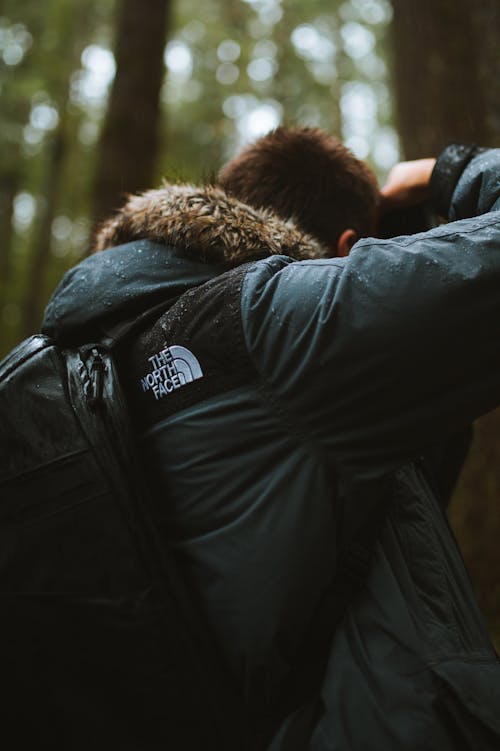 Ingyenes stockfotó dzseki, erdő, fényképezés témában