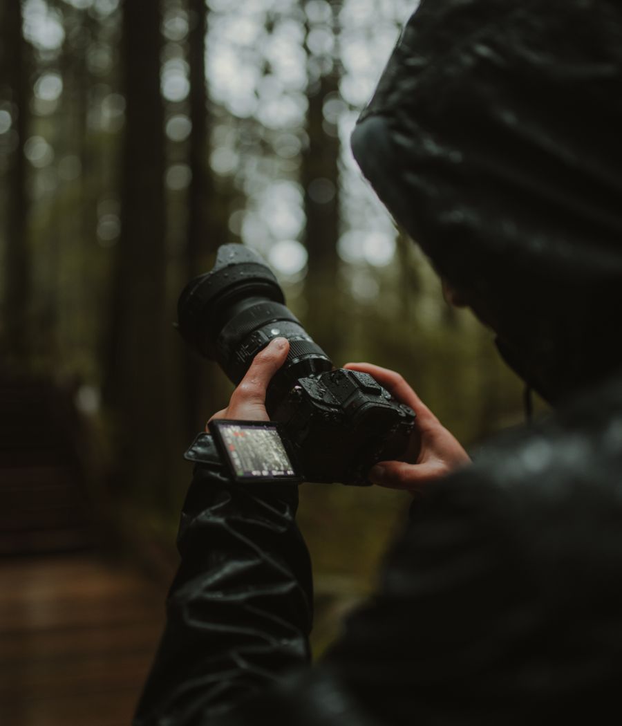 Photographer in a misty forest