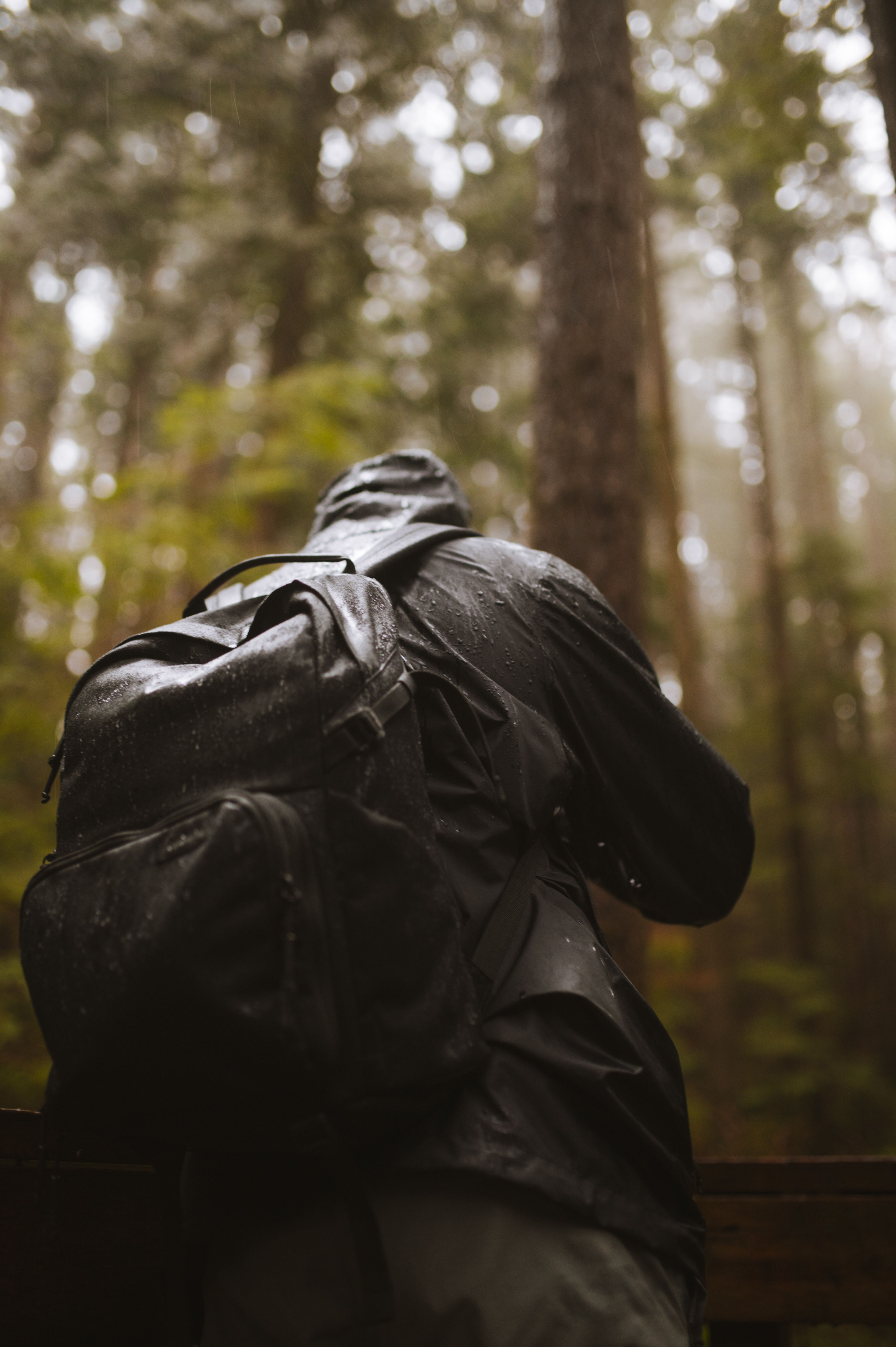 Randonneur vu de dos avec un sac et une veste à capuche dans une forêt humide, photographie d’illustration