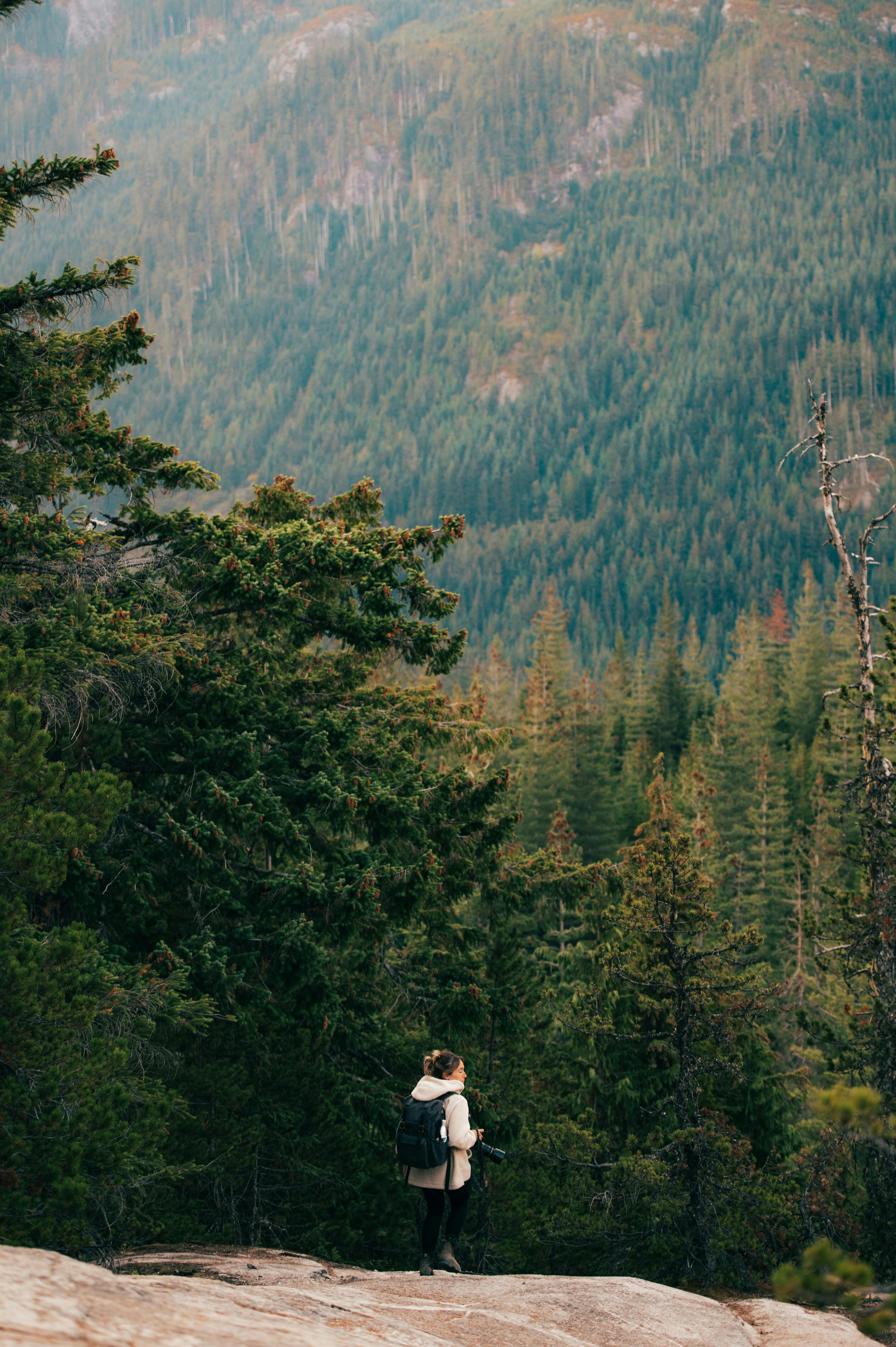 Female Hiker in a Forested Valley · Free Stock Photo