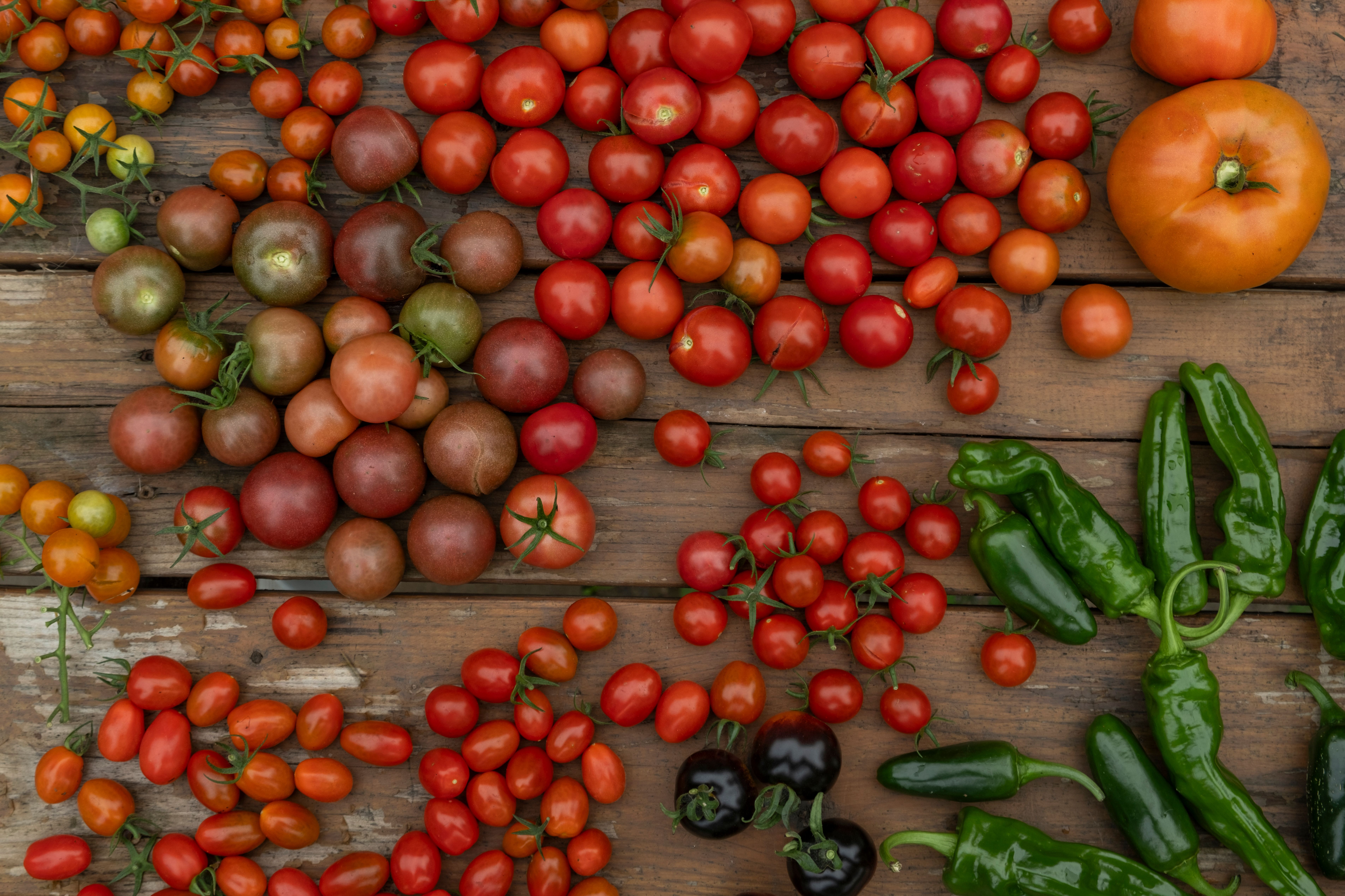 Various Tomatoes and Green Peppers Scattered on a Wooden Garden Table ...