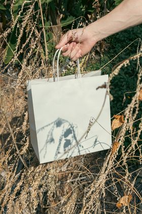 Paper shopping bag on a neutral background — photo by SU JI on Pexels