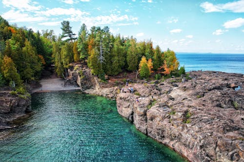 Immagine gratuita di alberi, baia, eroso