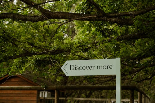 Discover More Written on Direction Sign in Park