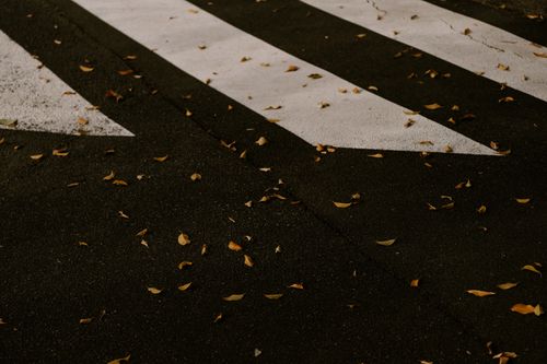 Free Fallen leaves scattered on a city crosswalk during autumn, highlighting fall's beauty. Stock Photo