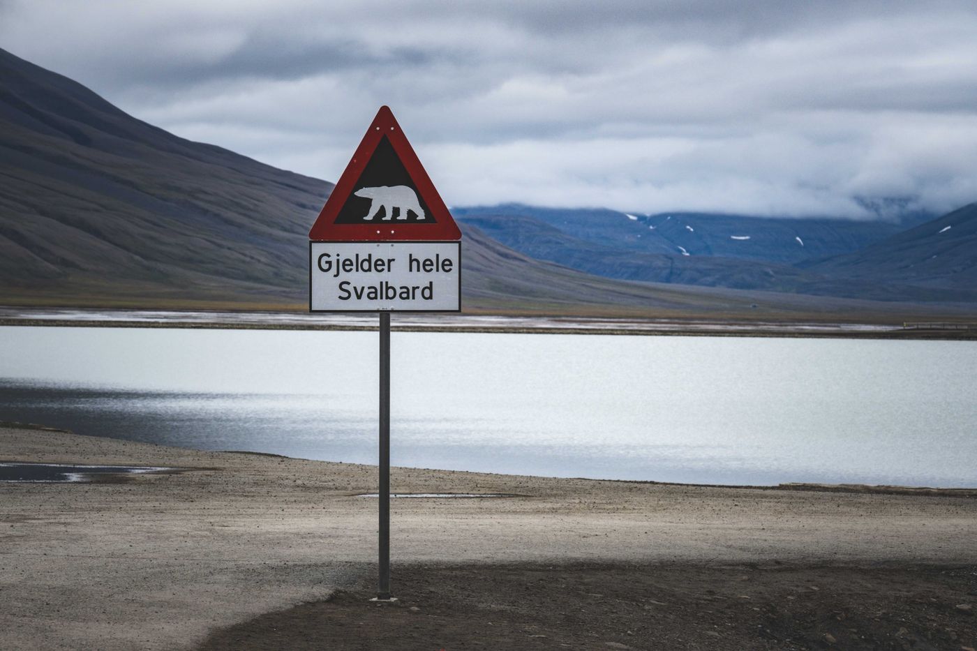 A warning sign showing a polar bear in the open Svalbard landscape