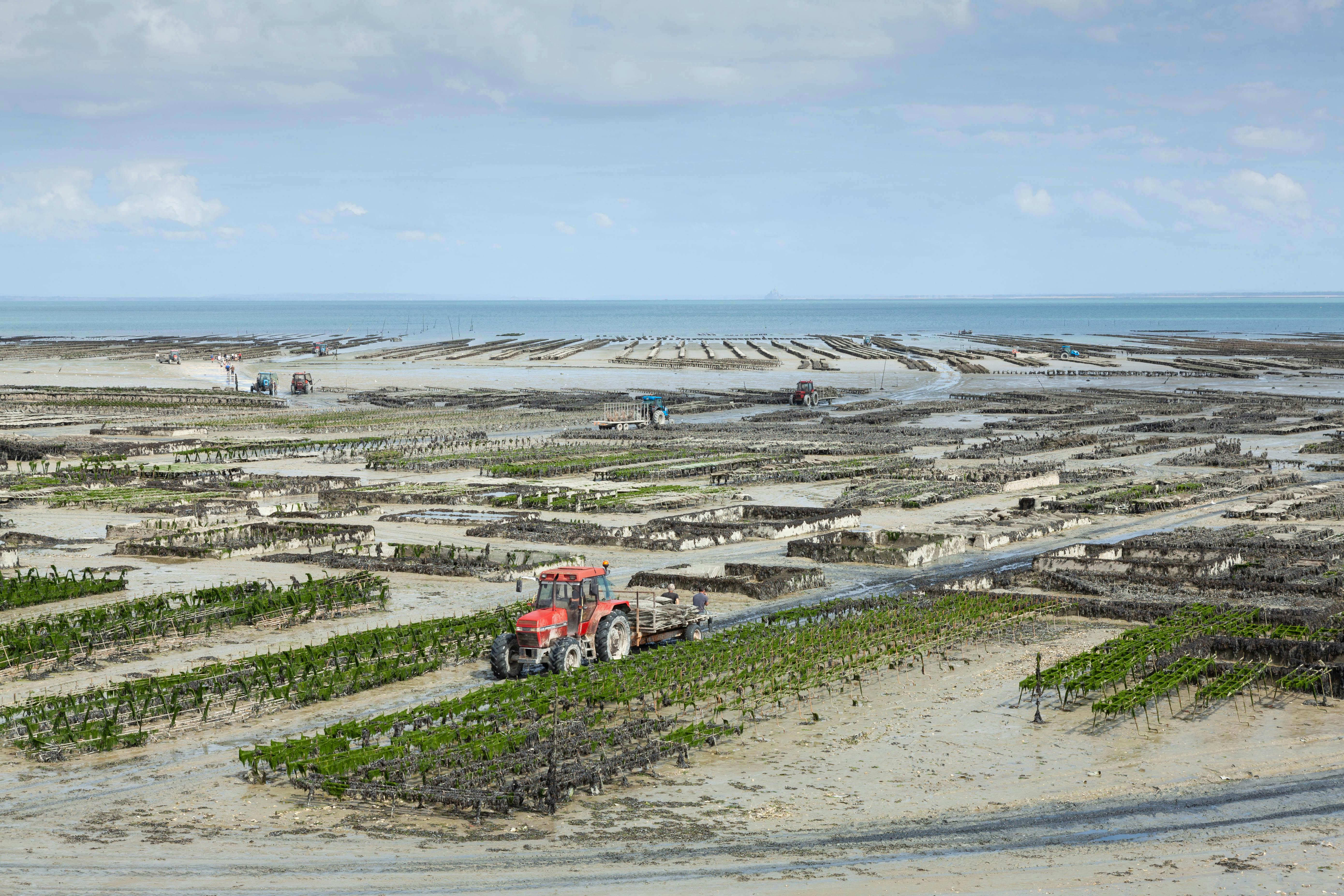 生活：南大USR走讀七股 學生體驗一日蚵農深入偏鄉教育