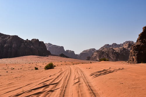 タイヤトラック, ユネスコ, ヨルダンの無料の写真素材