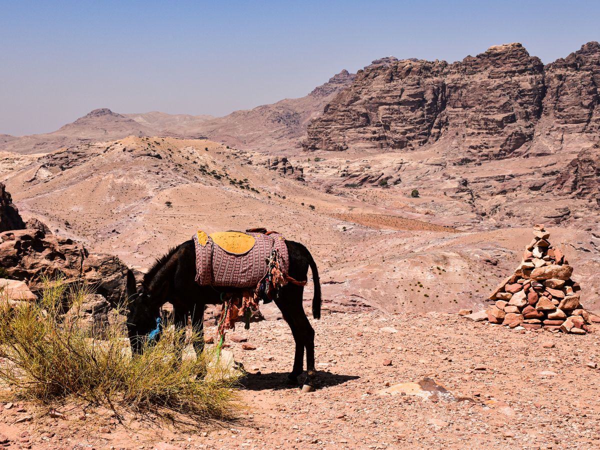 7 Day Anayata Luxury Weight Loss Detox & Yoga Retreat in Jordan 2