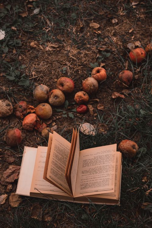Free A vintage book lies open among rotting apples on a textured autumn ground, creating a moody fall scene. Stock Photo