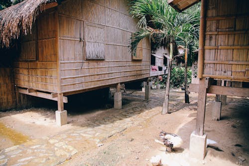 Wooden, Tribal House in Village