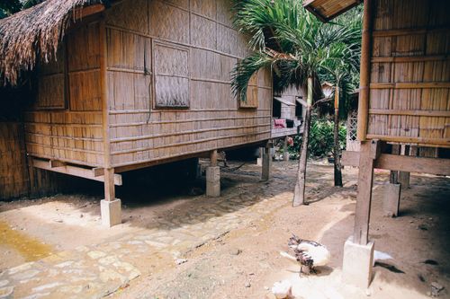 Free Charming bamboo houses on stilts in a serene village with palm trees and rustic settings. Stock Photo