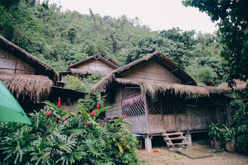 Foto stok gratis bungalow, eksotik, hutan