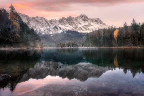 Foto stok gratis alam, danau, hutan