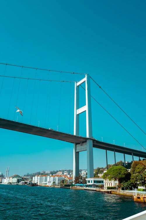 Photos gratuites de dinde, Istanbul, le pont du bosphore