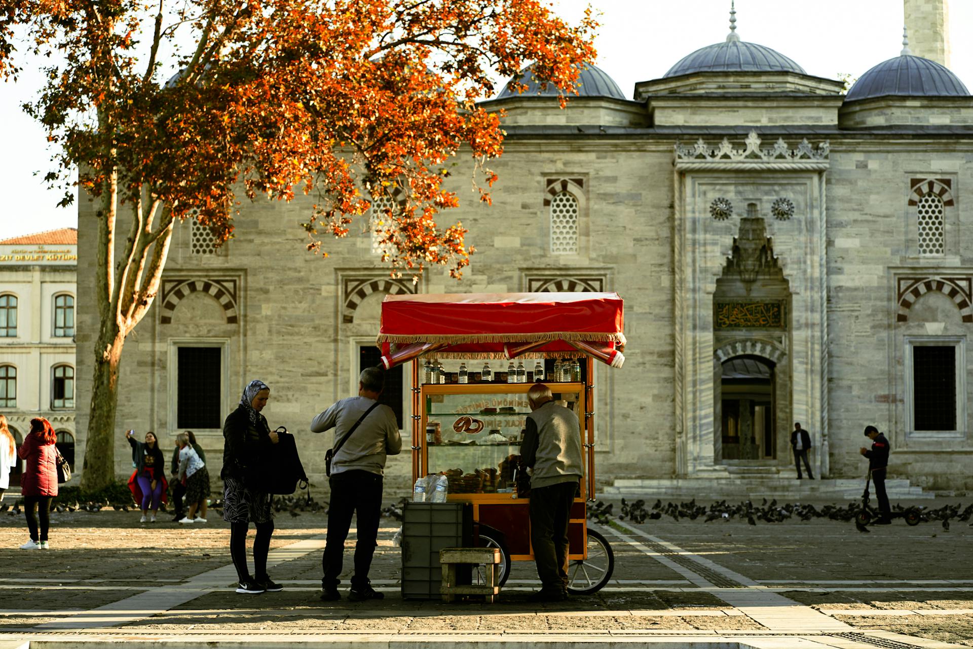 Bustling Istanbul scene with a street food cart and mosque as a historic backdrop.